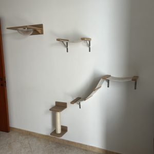 Percorso gatti