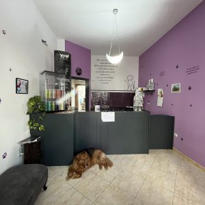 Ingresso del salone